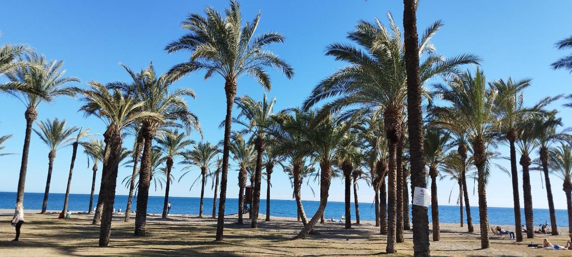 Torremolinos:Appartement Avec Piscine Et Terrasse Buitenkant foto