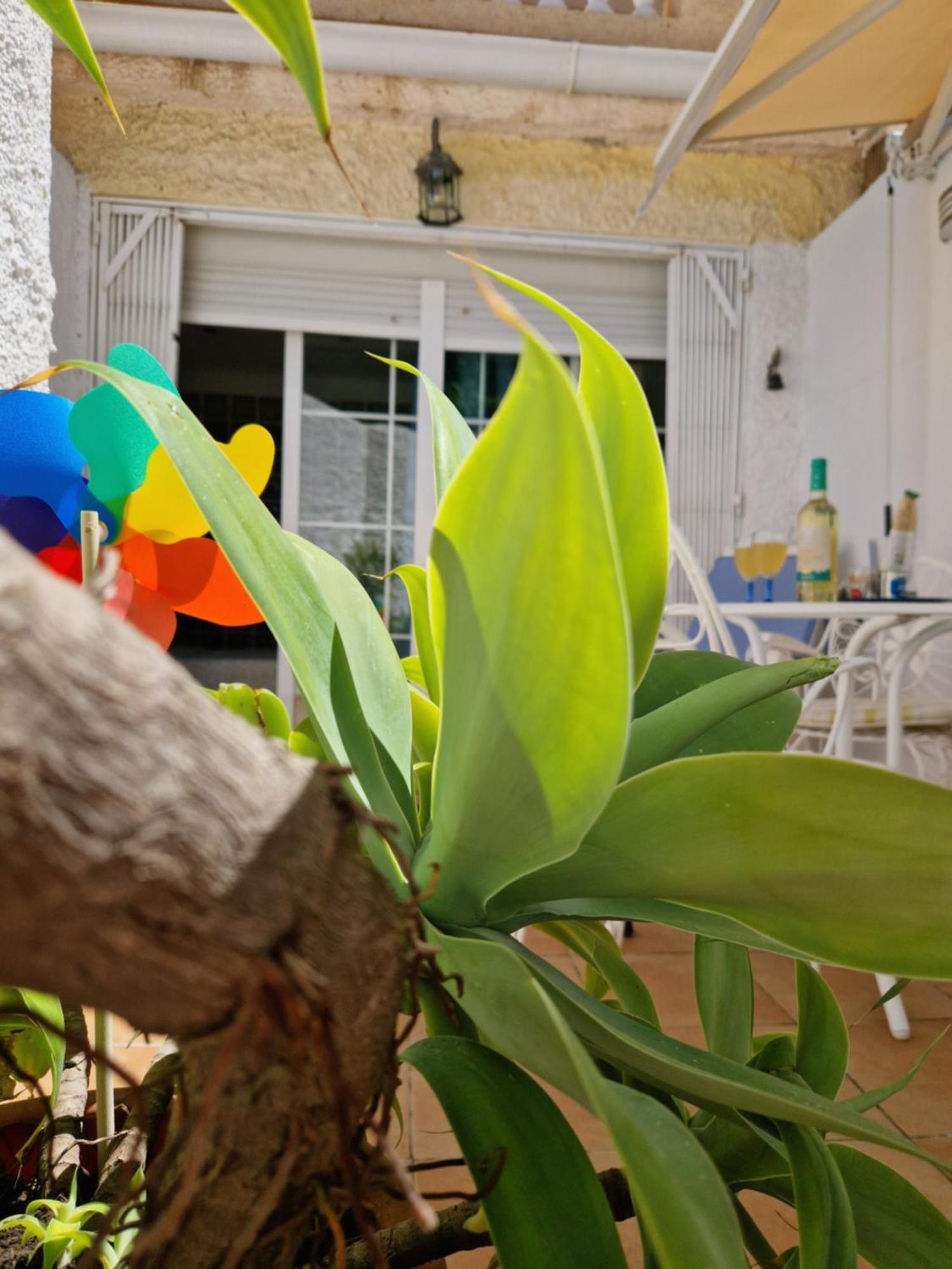 Torremolinos:Appartement Avec Piscine Et Terrasse Buitenkant foto