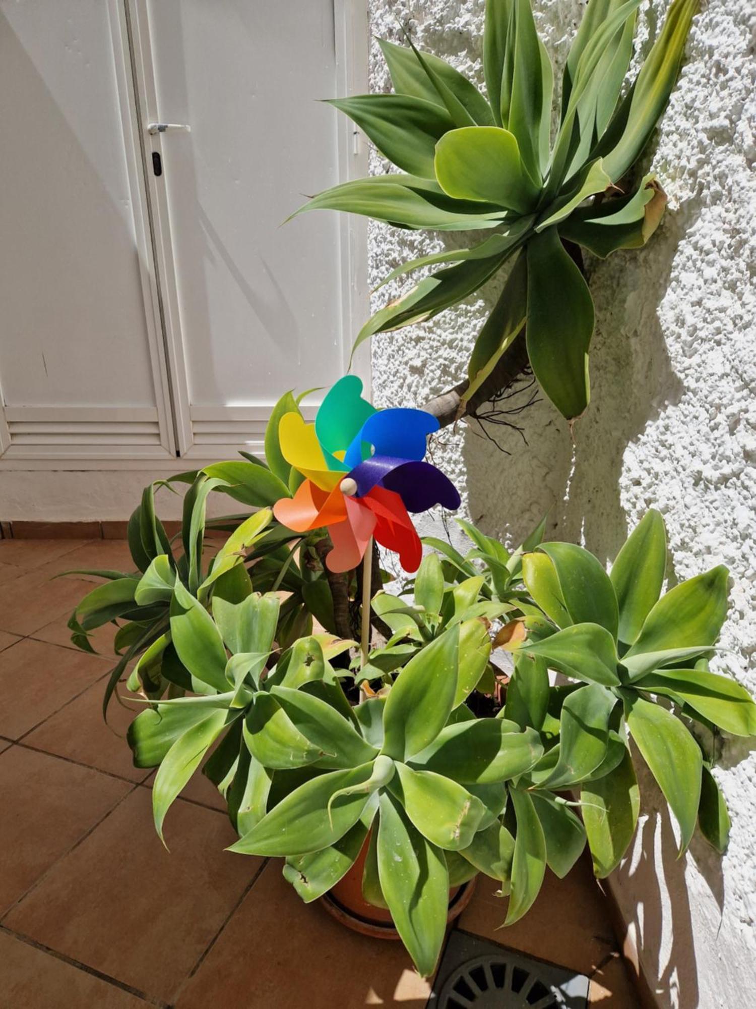 Torremolinos:Appartement Avec Piscine Et Terrasse Buitenkant foto